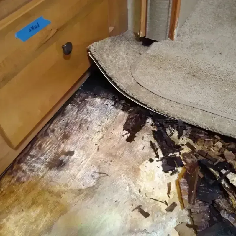 Wood Floor Water Damage in Cudahy, CA